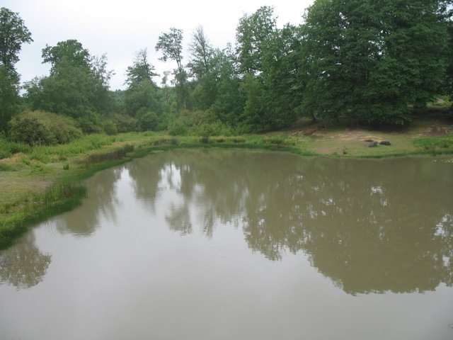 Etang de la porte Baudet 02